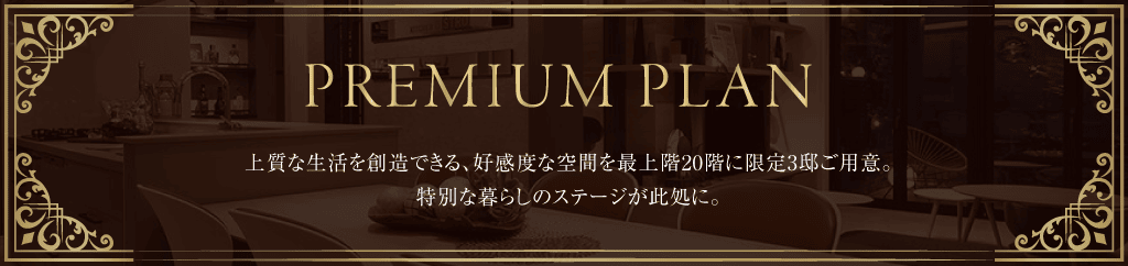 プレミアムプラン